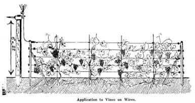 photo_2025-12-06_11-04-04 (5).jpg