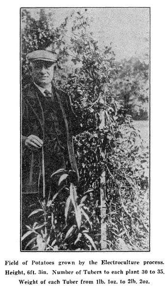 photo_2025-12-06_11-04-04 (2).jpg