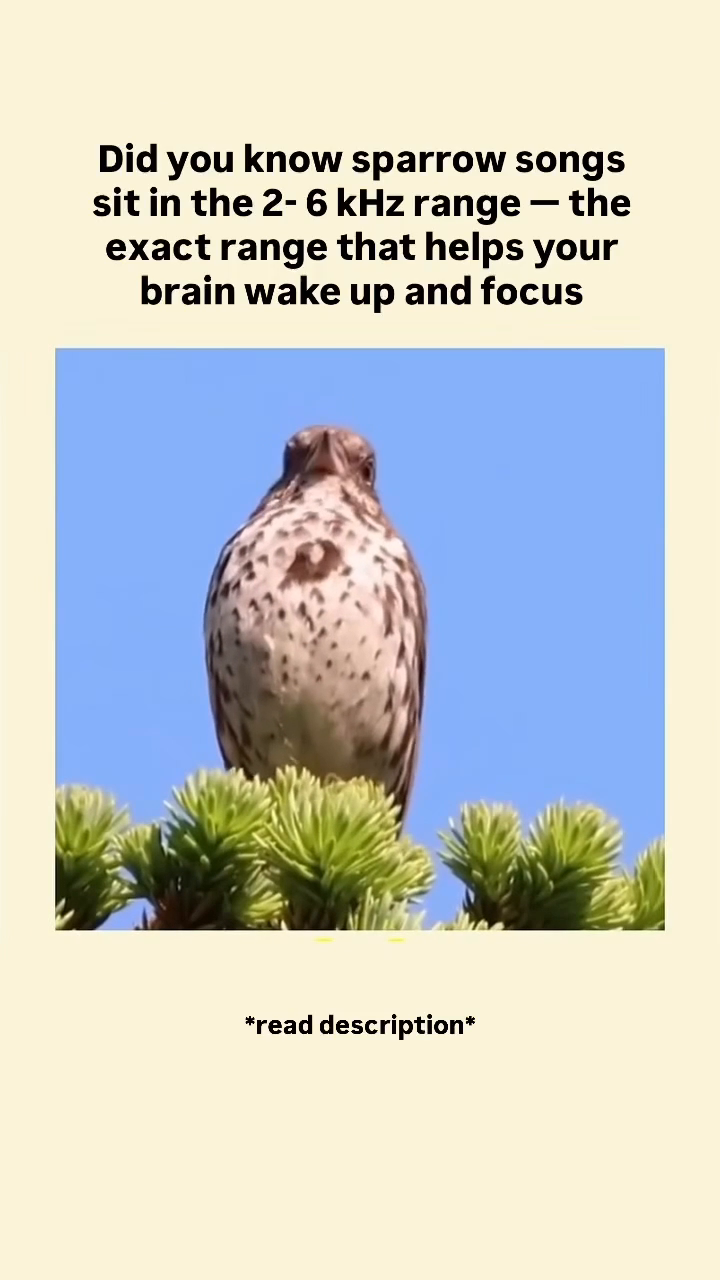 frame_00008.png